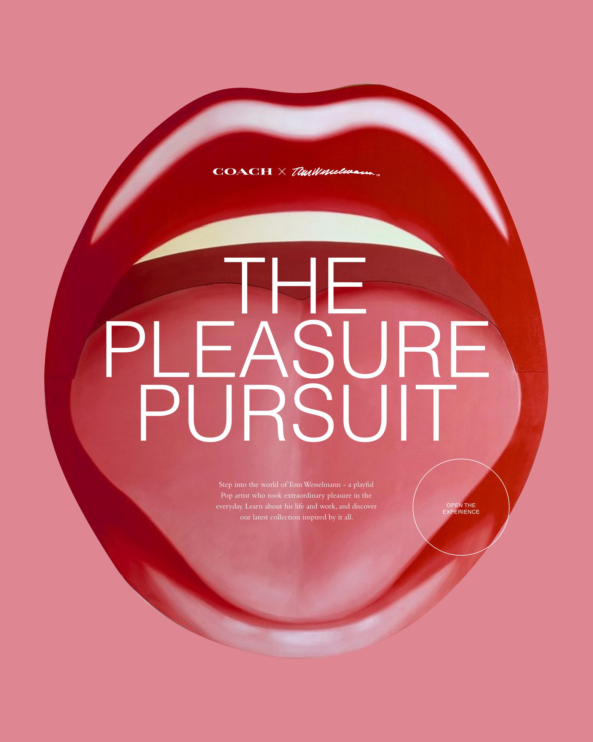 The Pleasure Pursuit